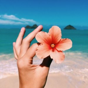 blogサムネイル